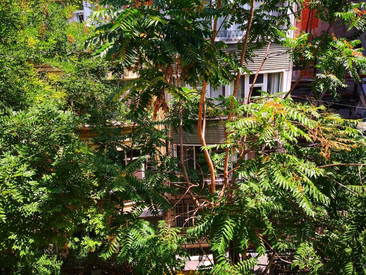 Gafa Garden Hostel & Apartments - Great Location Κωνσταντινούπολη Εξωτερικό φωτογραφία